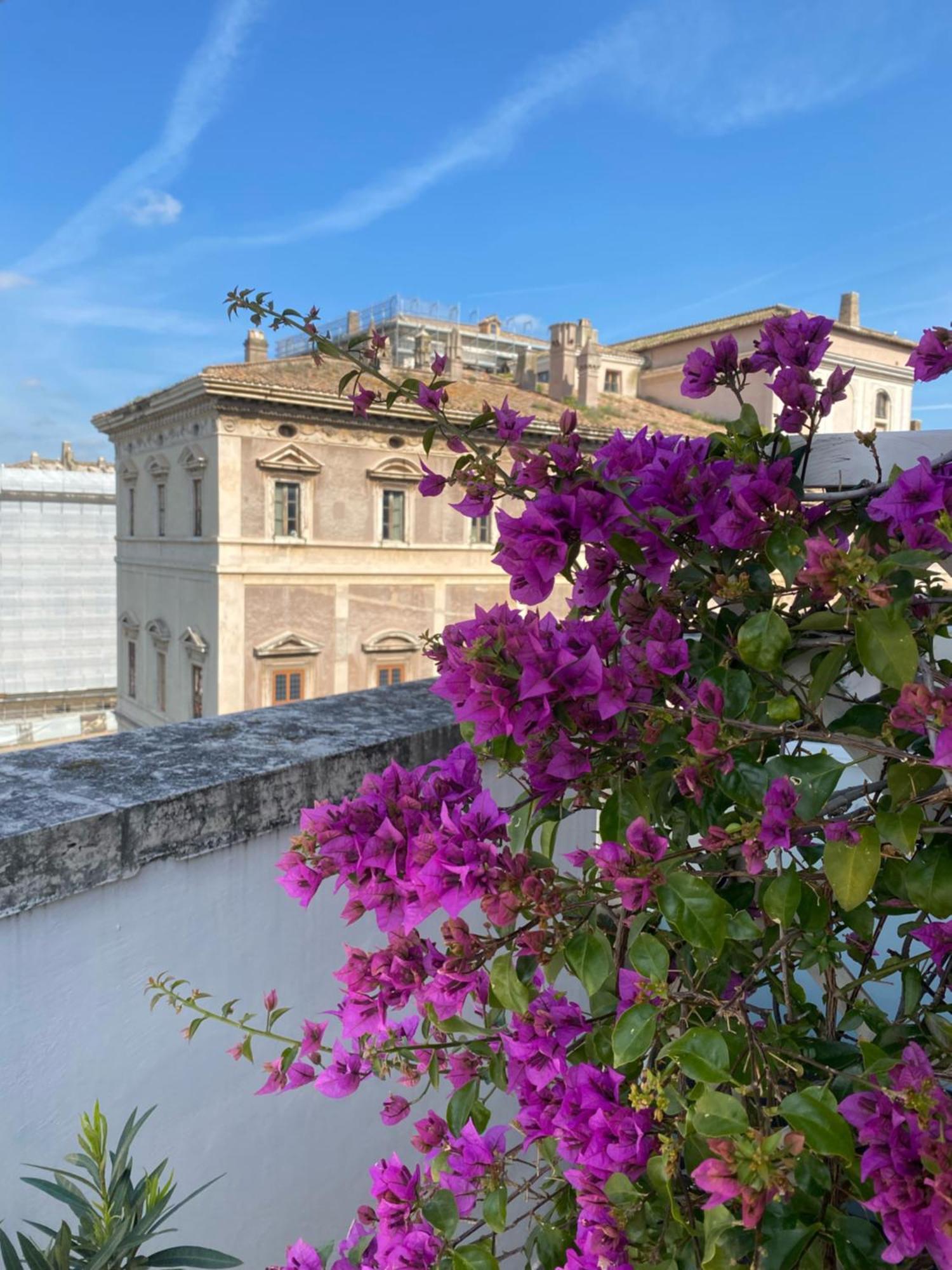 Terrazza Marco Antonio Luxury Pensionat Rom