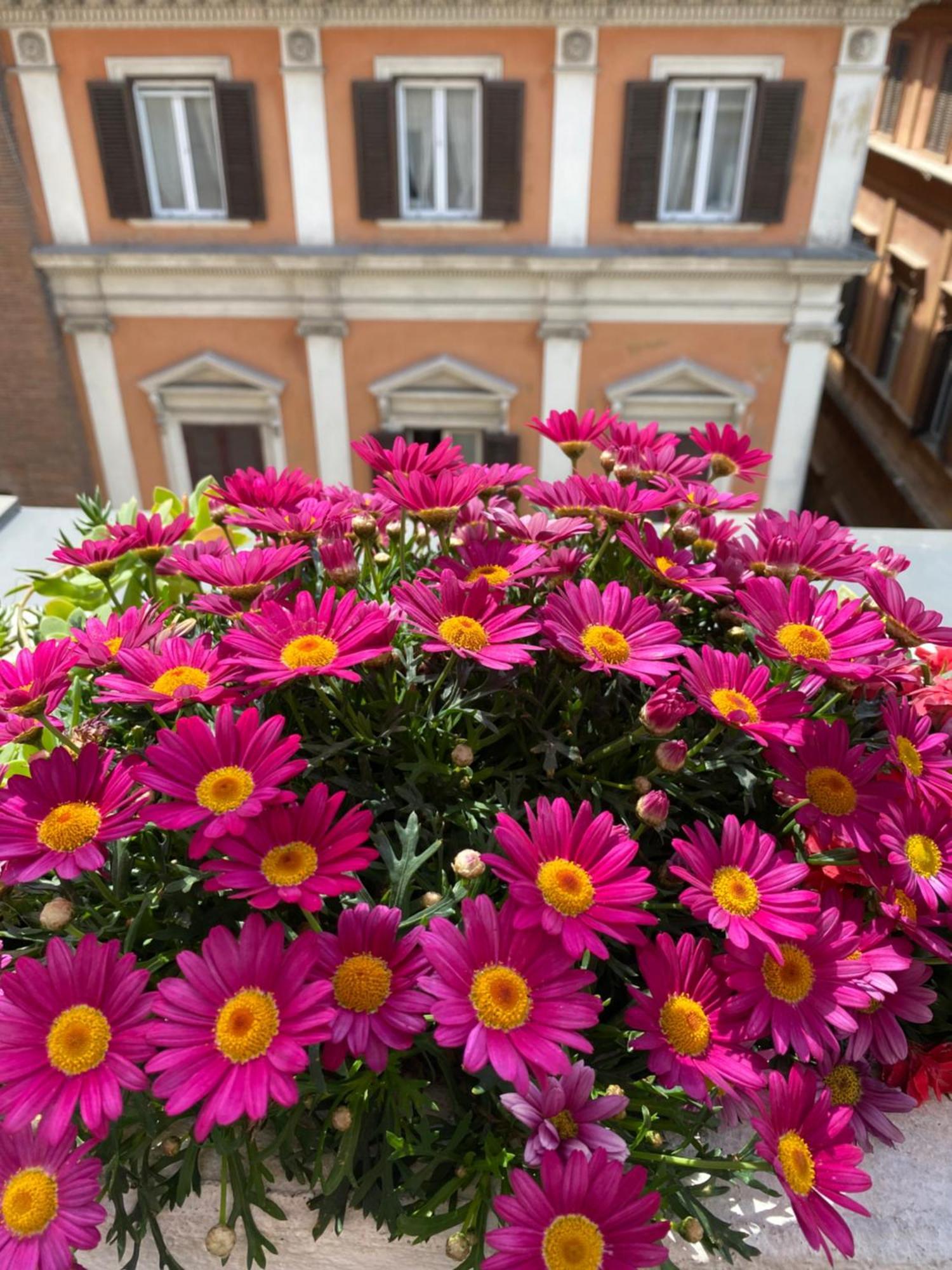 Terrazza Marco Antonio Luxury Pensionat Rom